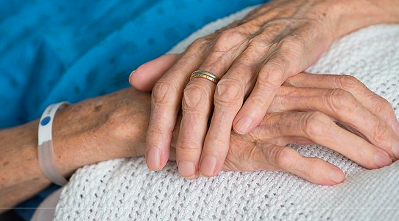 Estudo da Unesp de Botucatu pode ajudar a identificar pacientes com câncer mais propensos a ter caquexia