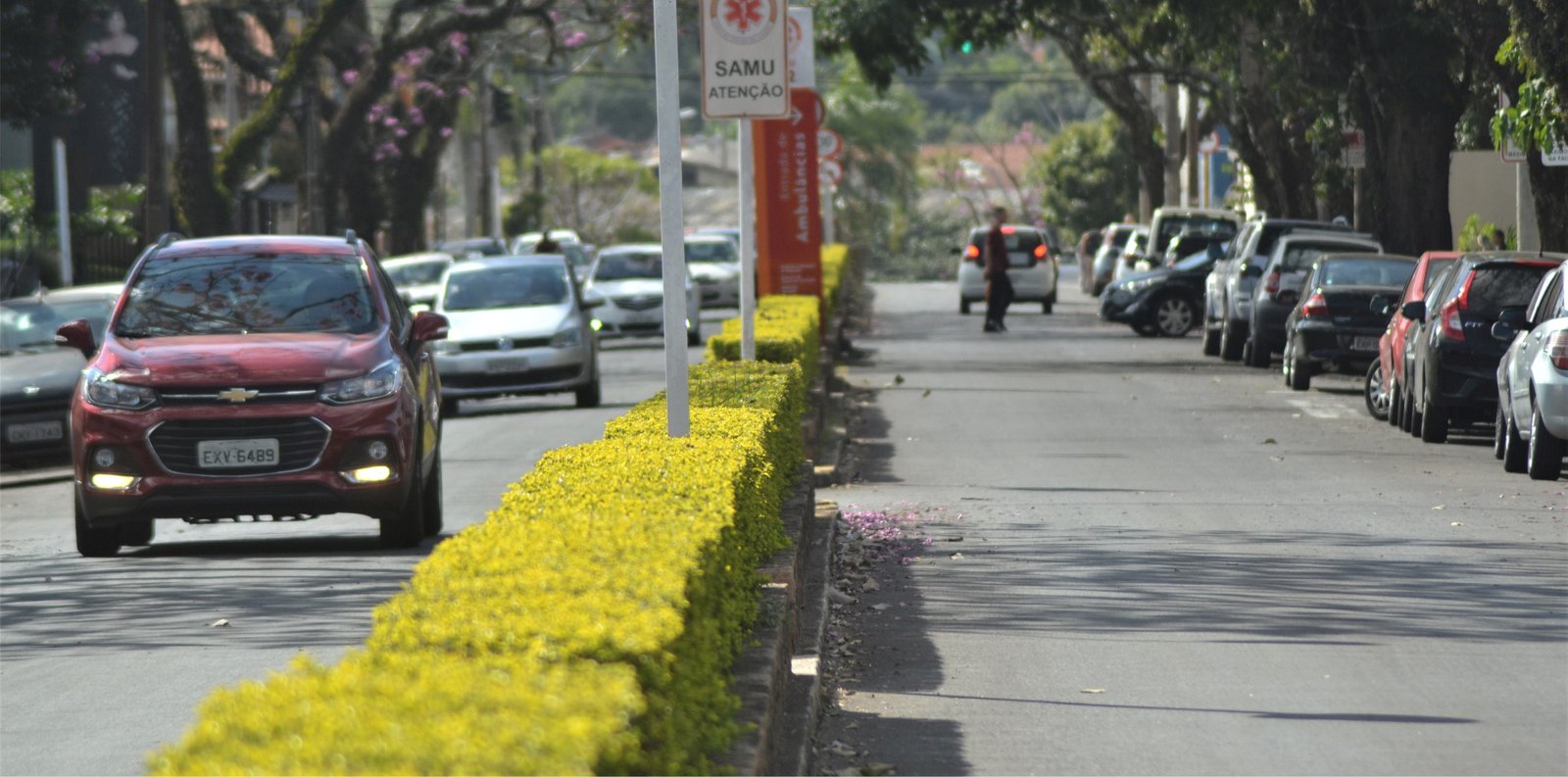 Avenida Santana: a construção de uma cidade com a tradição da padroeira