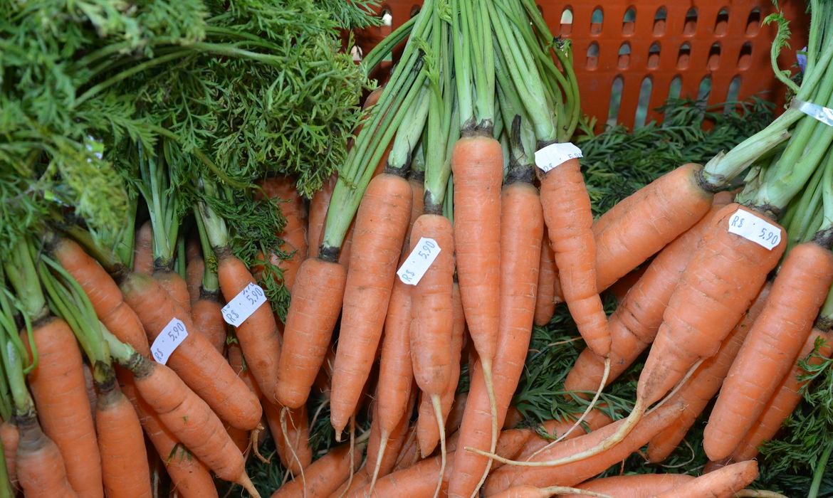 Alimentação saudável não pode ser deixada de lado, dizem especialistas