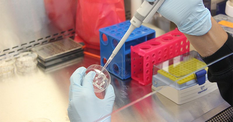 Unesp integra rede nacional para estudar o genoma do novo coronavírus