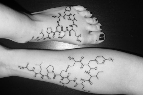Hormônio do amor pode prevenir surgimento de osteoporose