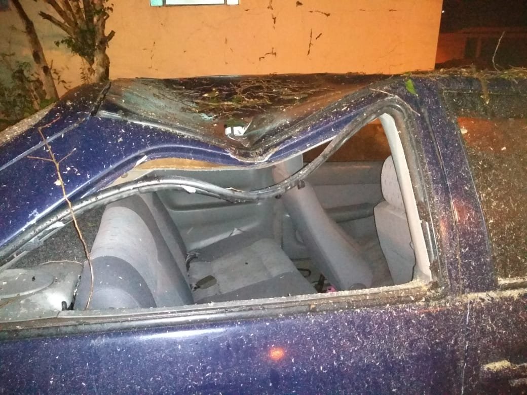Botucatu: árvore cai sobre carro após vendaval