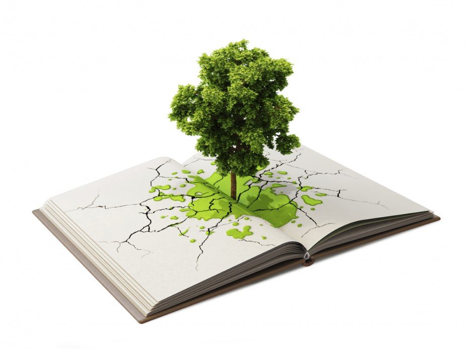 Livro editado pela Unesp de Botucatu aborda planejamento ambiental no meio rural