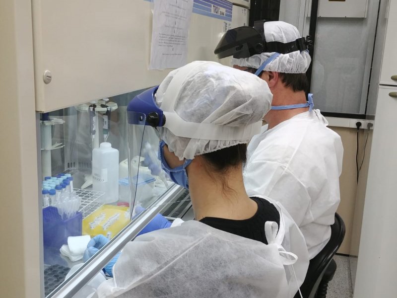 Unesp de Botucatu rastreia assintomáticos de Covid-19 por meio da saliva