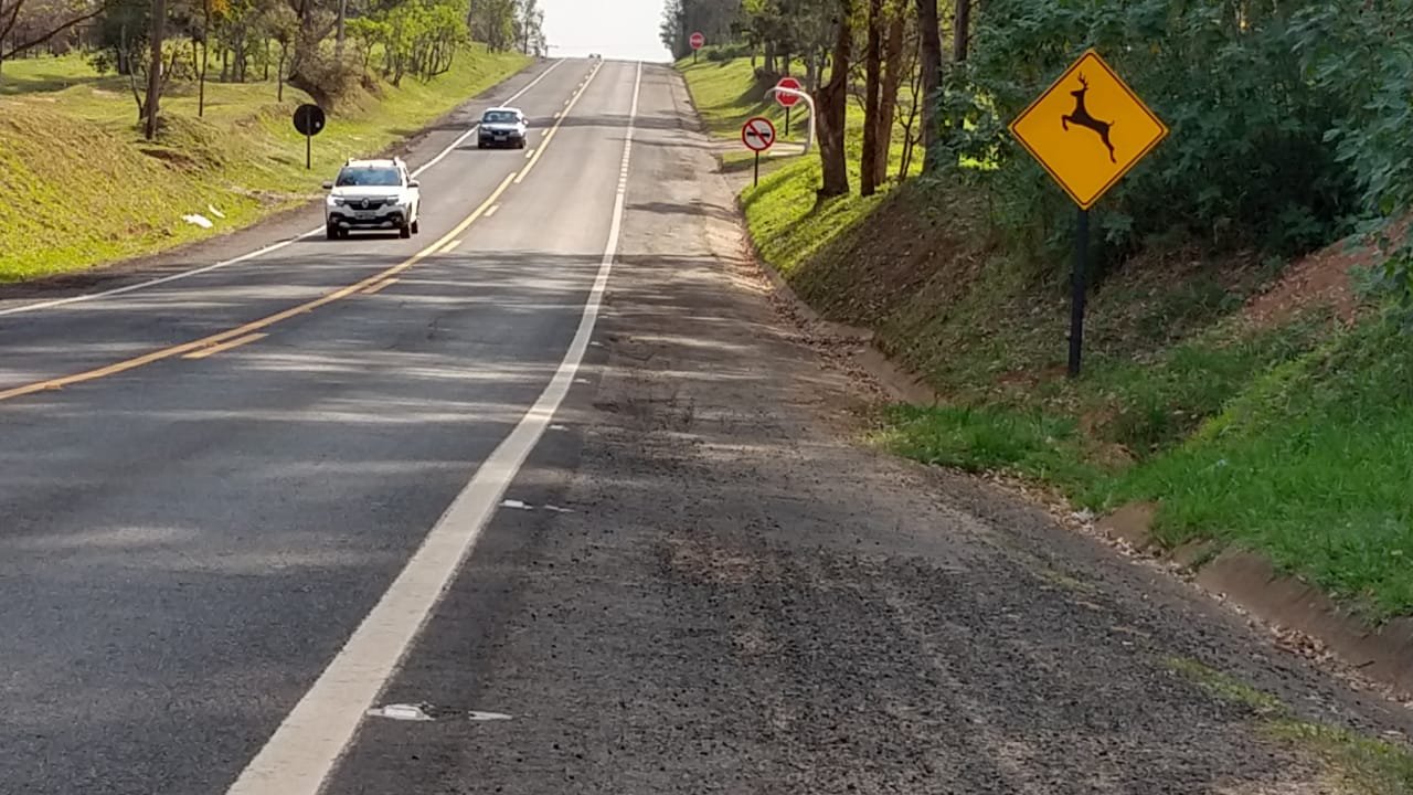 Concessionária instala sinalização sobre travessia de animais silvestres após atropelamentos de tamanduás na Gastão dal Farra