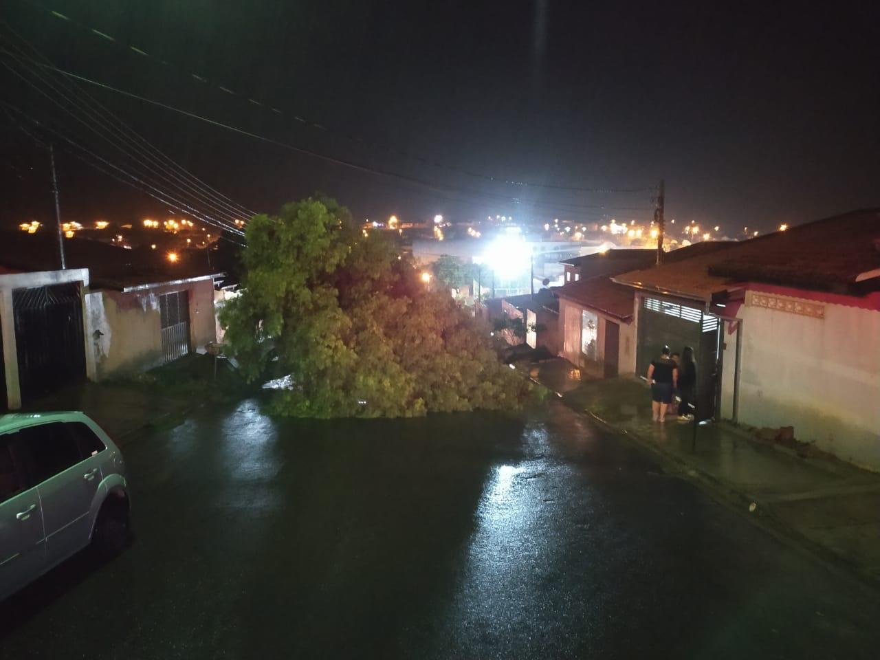 Botucatu: chuva causa queda de muro, árvores e falta de energia