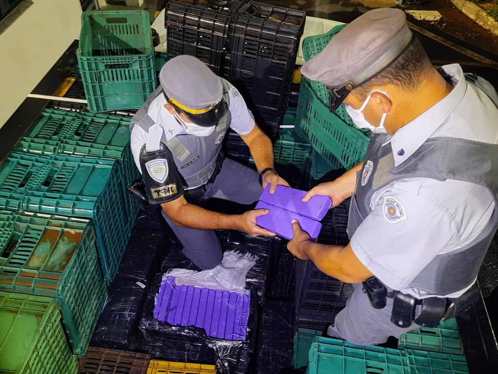 Itatinga: caminhoneiro e três mulheres são presos transportando mais de 1,5 tonelada de maconha