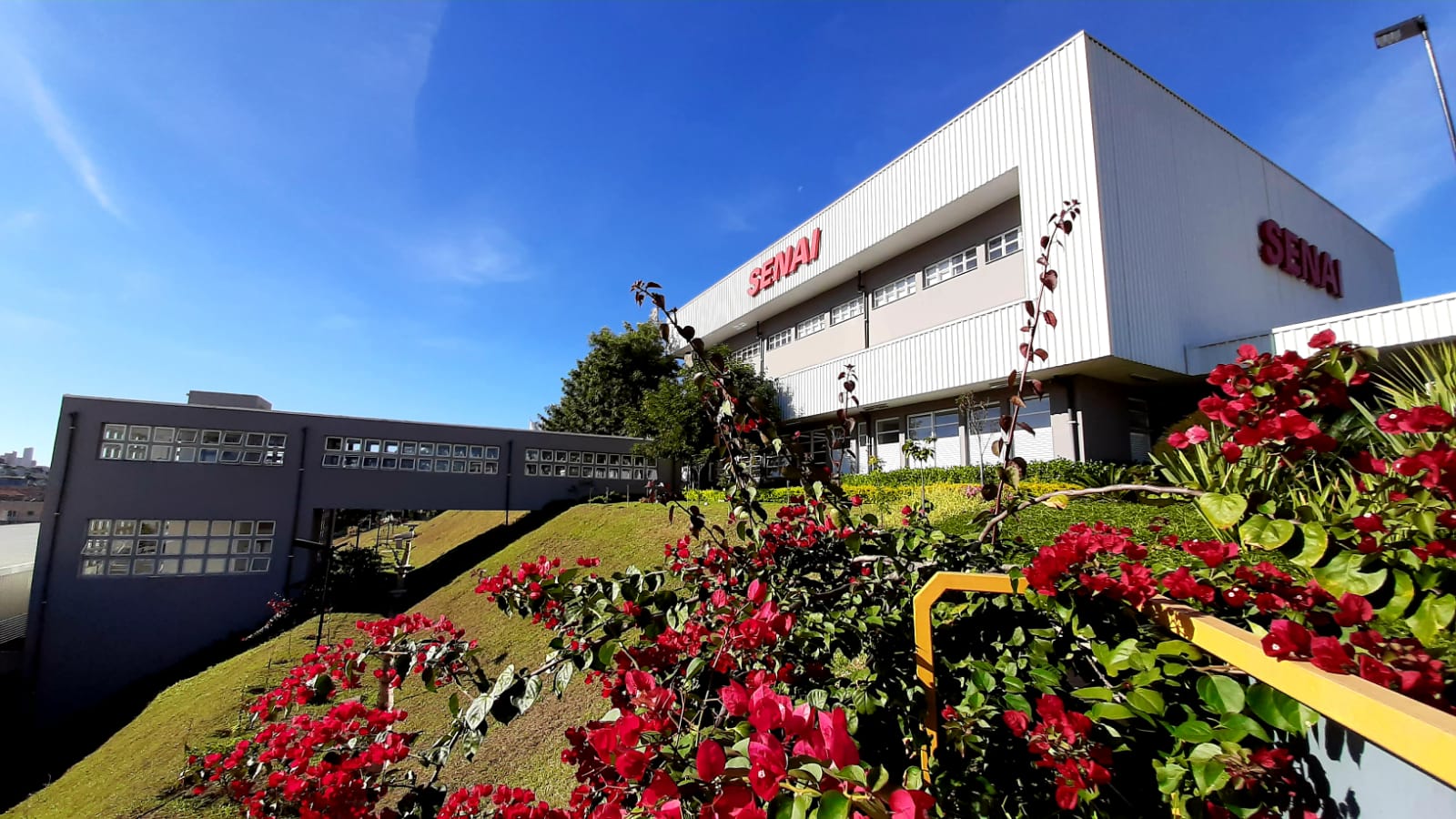 Senai abre inscrições para o Programa de Trainee 2021