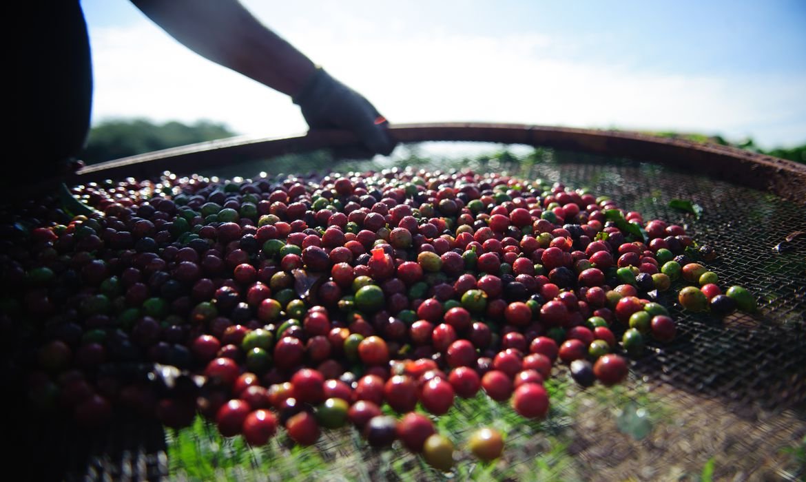 Exportação de café sobe 82,7% e garante superávit do agro paulista em janeiro