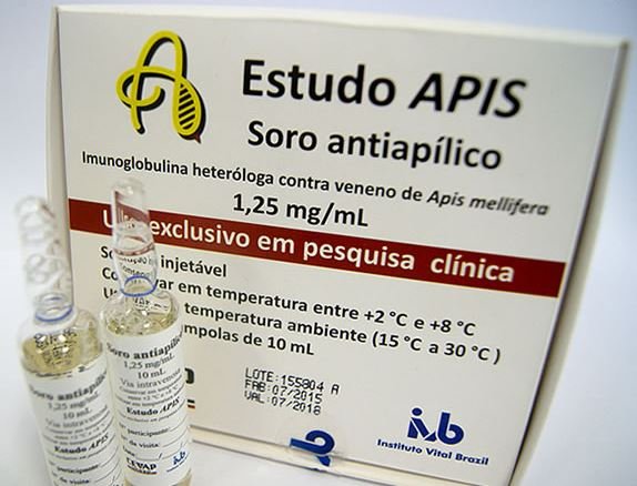 Botucatu: antídoto para veneno de abelha africanizada entra na fase final para registro do produto