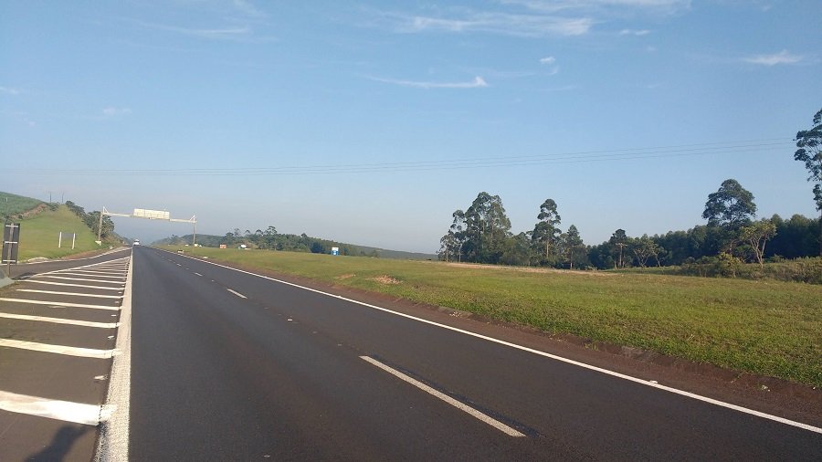 Itatinga: homem morre após ser picado por abelhas na Castelo Branco