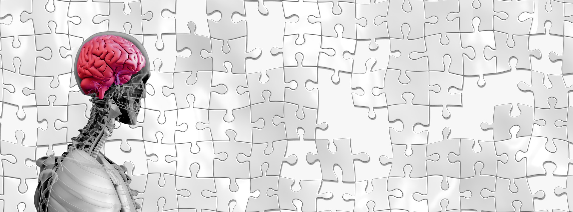 Pesquisadores brasileiros identificam células cerebrais mais vulneráveis ao Alzheimer