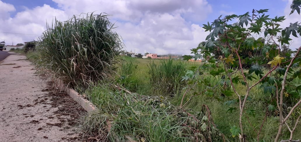 São Manuel começará a multar proprietários de terrenos sem conservação