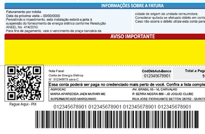 Clientes da CPFL poderão pagar conta de energia com o Pix
