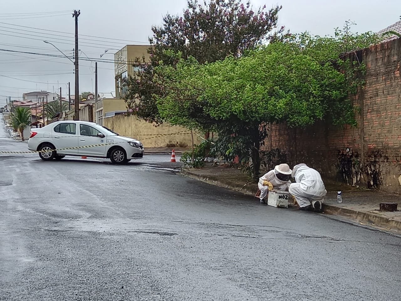 Vigilância Ambiental em Saúde captura enxame de abelhas africanizadas na Vila Assumpção