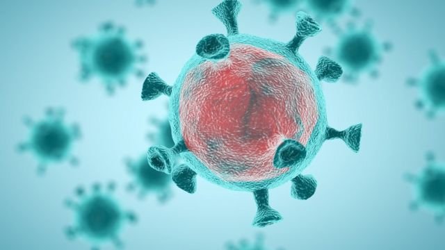 Mutações do SARS-CoV-2 podem afetar o reconhecimento do vírus pelo sistema imunológico