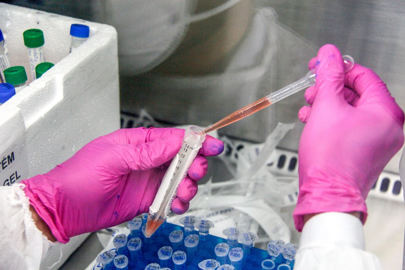 Avaré registra 3 mortes pela Covid-19 e possui ocupação máxima de UTI