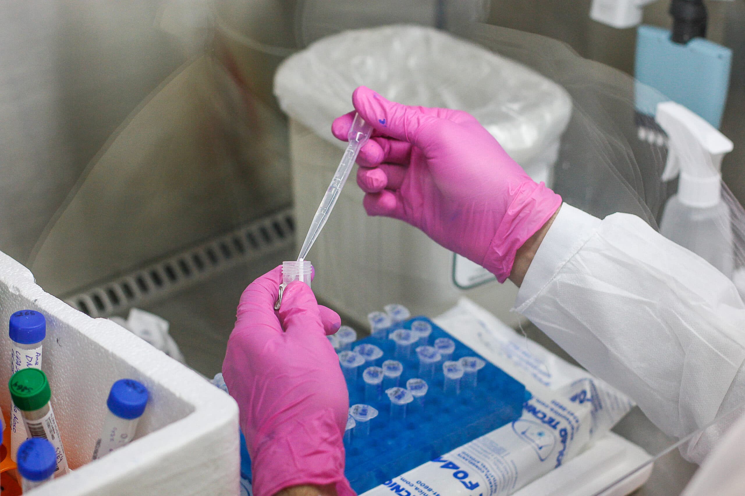 SP registra 84,3 mil mortes e 2,66 milhões de casos por COVID-19