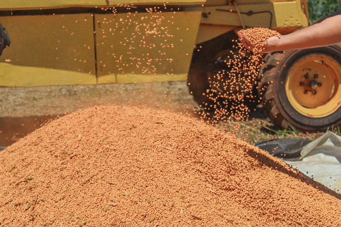 Exportações do agronegócio paulista aumentam 9,5% em 2021