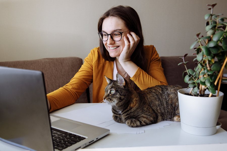 Feira on-line com empresas multinacionais faz recrutamento de universitários
