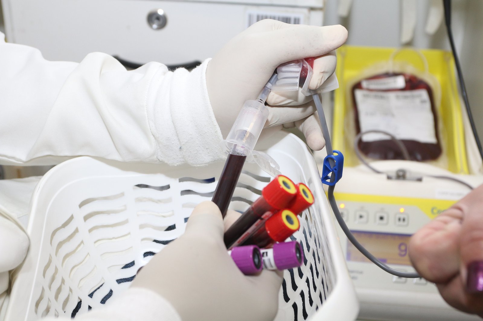 Aprovado projeto que proíbe discriminação de doadores de sangue por orientação sexual