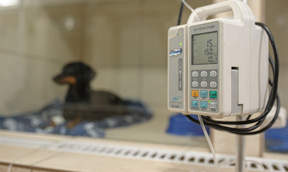 American Society of Animal Science premia ex-alunos da Unesp Botucatu