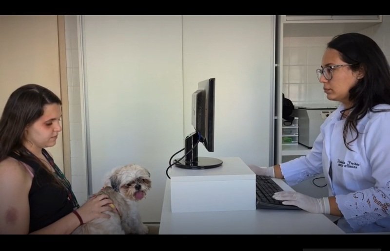 Unesp de Botucatu produz vídeo que relaciona violência contra animais a violência doméstica