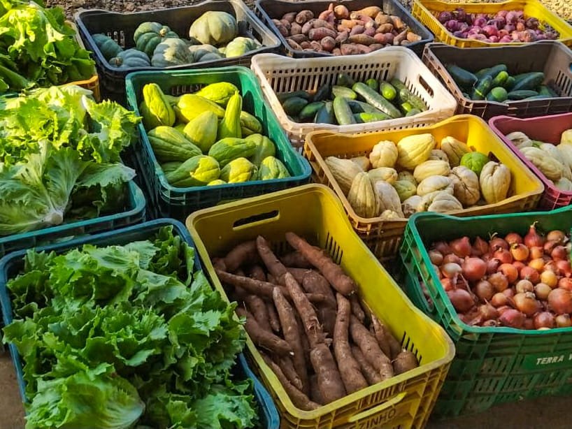 Conheça os alimentos que compõem a nova cesta básica