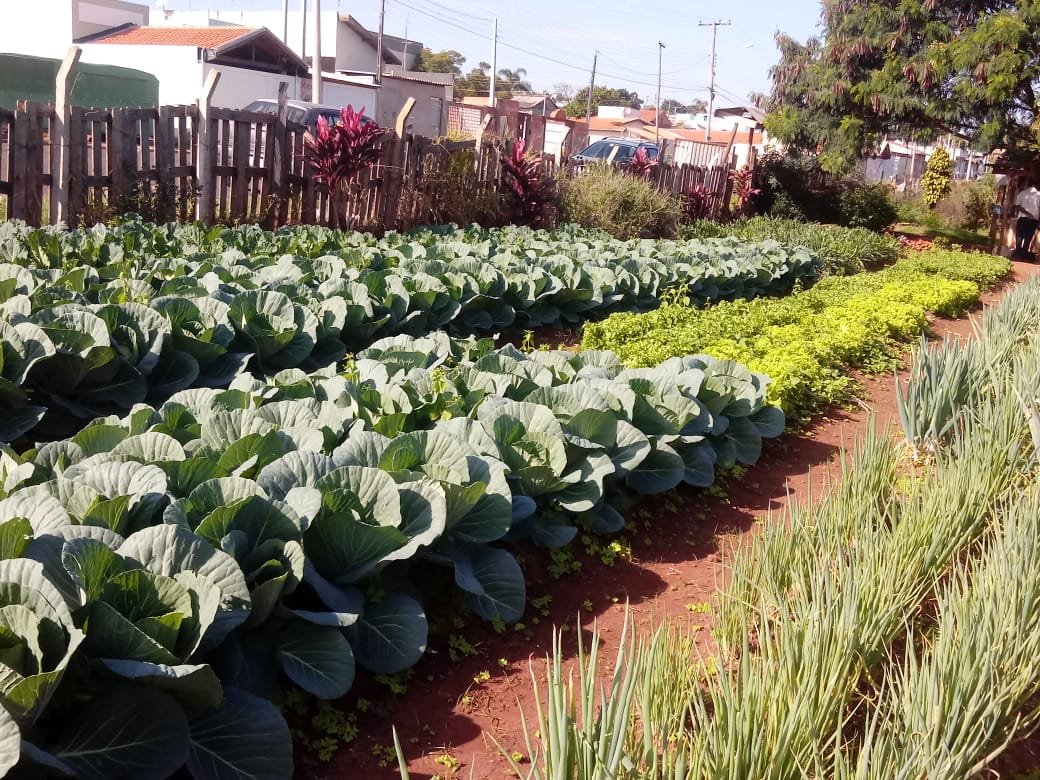 Hortas comunitárias promovem alimentação saudável e renda a famílias botucatuenses