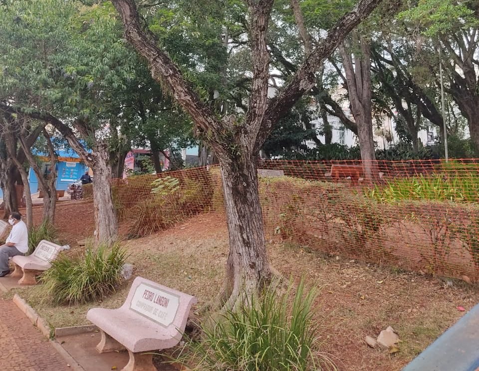 São Manuel: jardim municipal passará por processo de rearborização