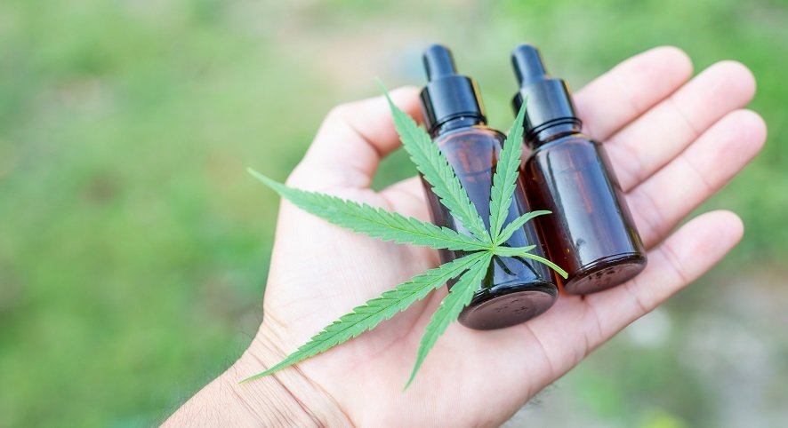 Evento na Unesp Botucatu debaterá papel da cannabis na ciência