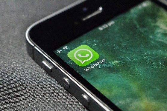 Vigilância Ambiental de Botucatu número no WhatsApp para informar população