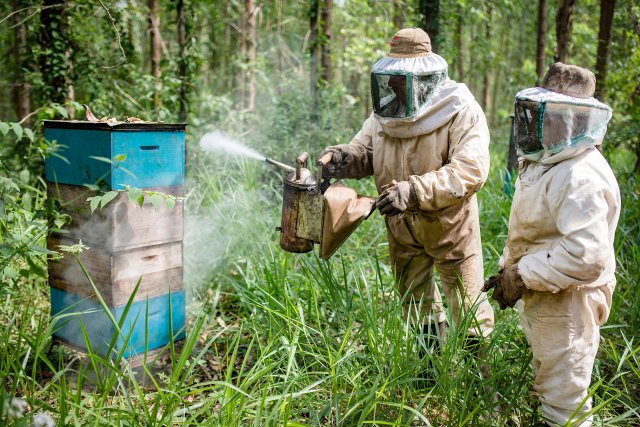Projeto de apicultor beneficia produtores de Botucatu