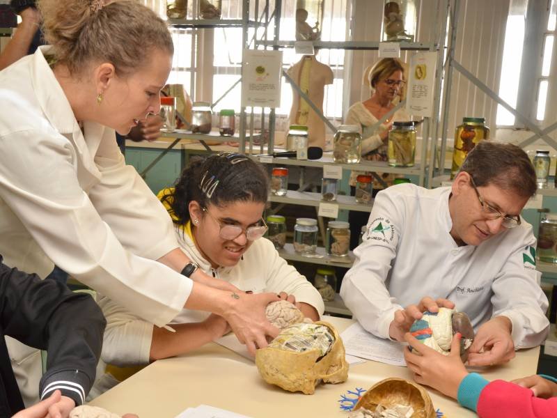 Museu de Anatomia da Unesp Botucatu desenvolve projeto para que deficientes visuais aprendam anatomia