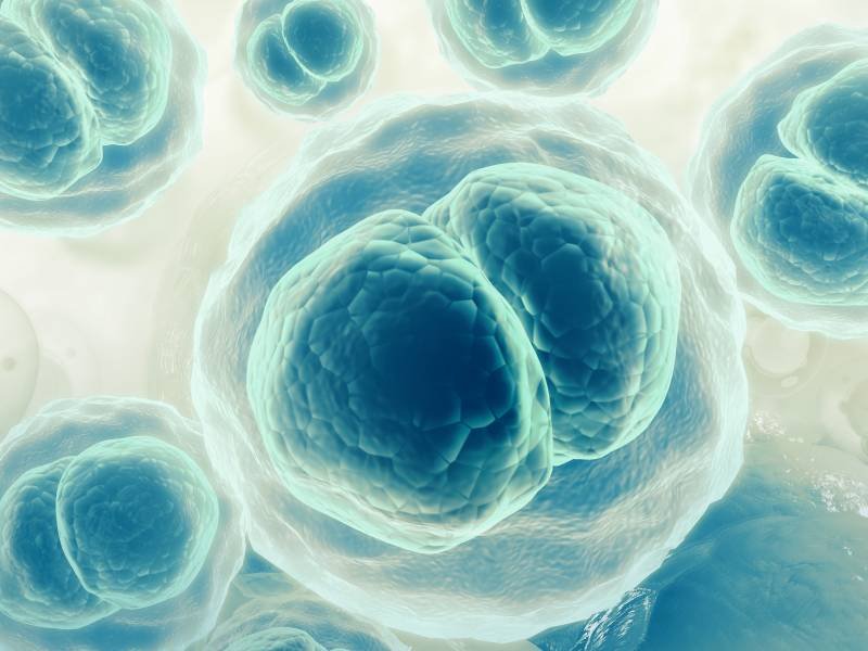 Novo tratamento com células-tronco é promessa para reabilitação de lesões nervosas