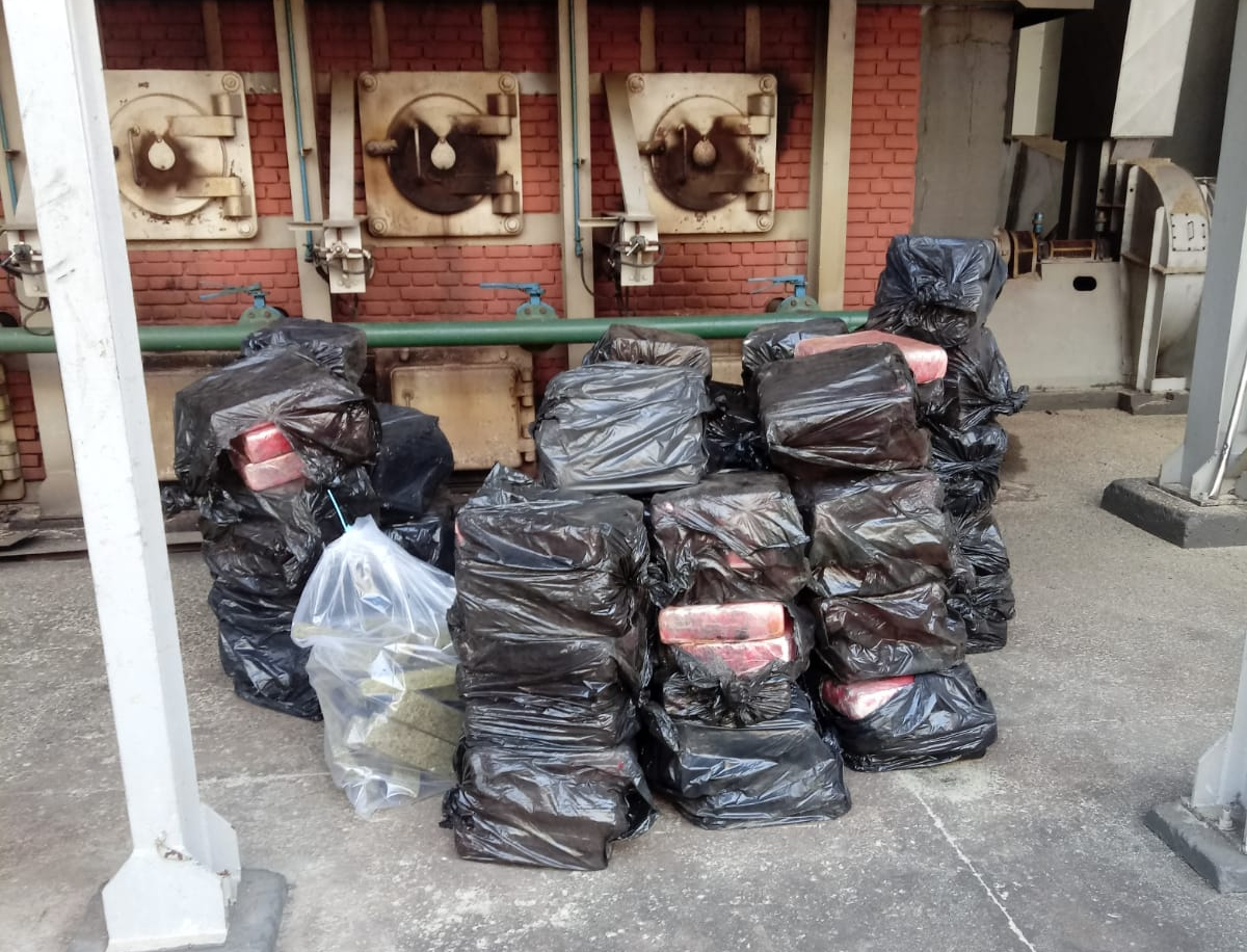 Polícia destrói mais de 1 tonelada de maconha em Botucatu