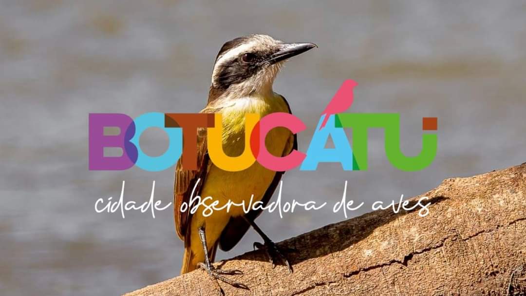 Programa de aviturismo é lançado oficialmente em Botucatu