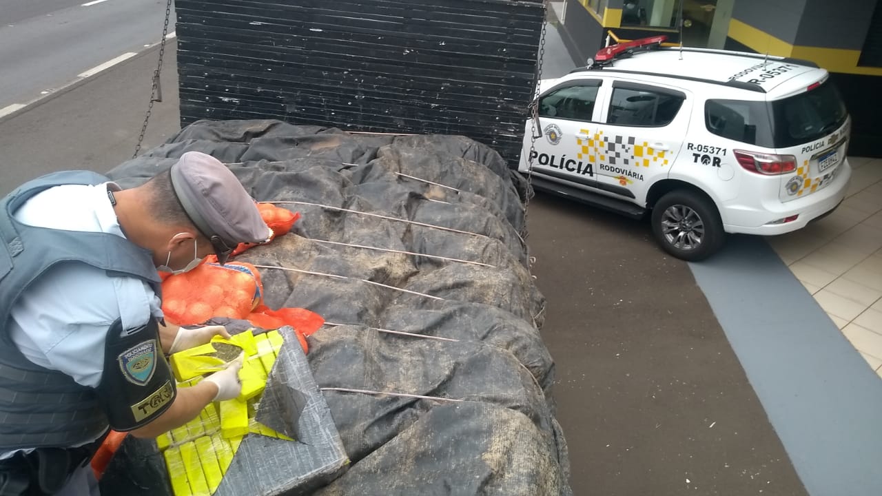 Polícia flagra mais de 700 kg de drogas em carga de cebolas