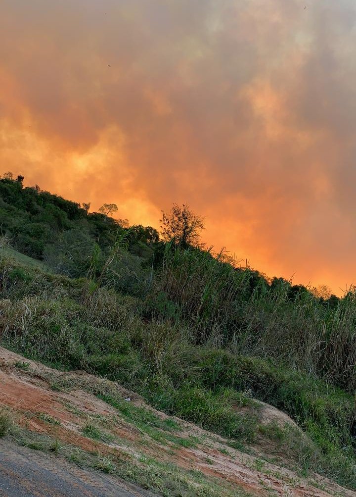 Incêndio de grandes proporções atinge área rural de Bofete