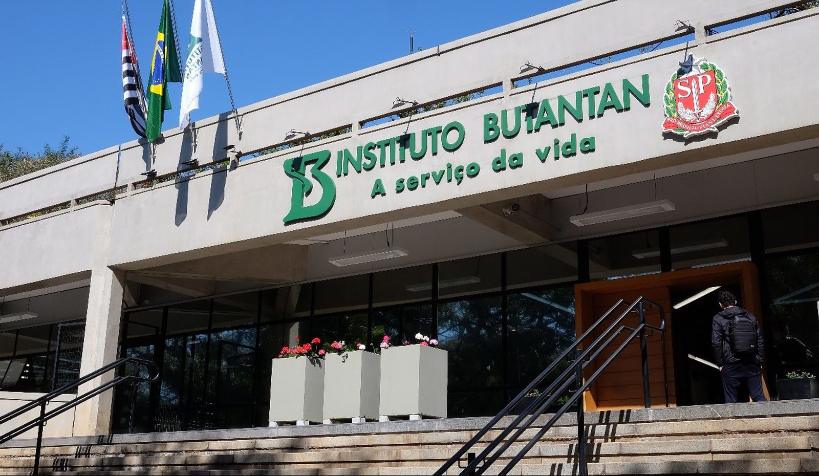 Butantan disponibiliza em setembro cursos gratuitos sobre animais venenosos