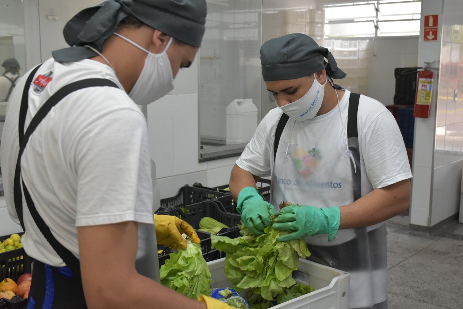 Banco de Alimentos de Botucatu já arrecadou mais de 250 toneladas em 2021