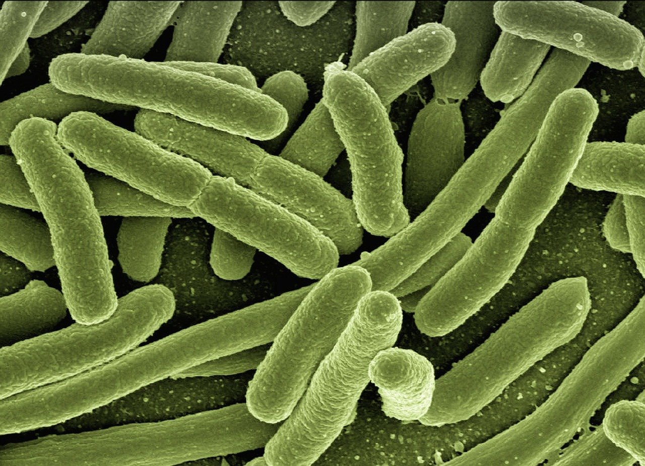 Como a pandemia da covid-19 pode ter ajudado a criar bactérias superresistentes