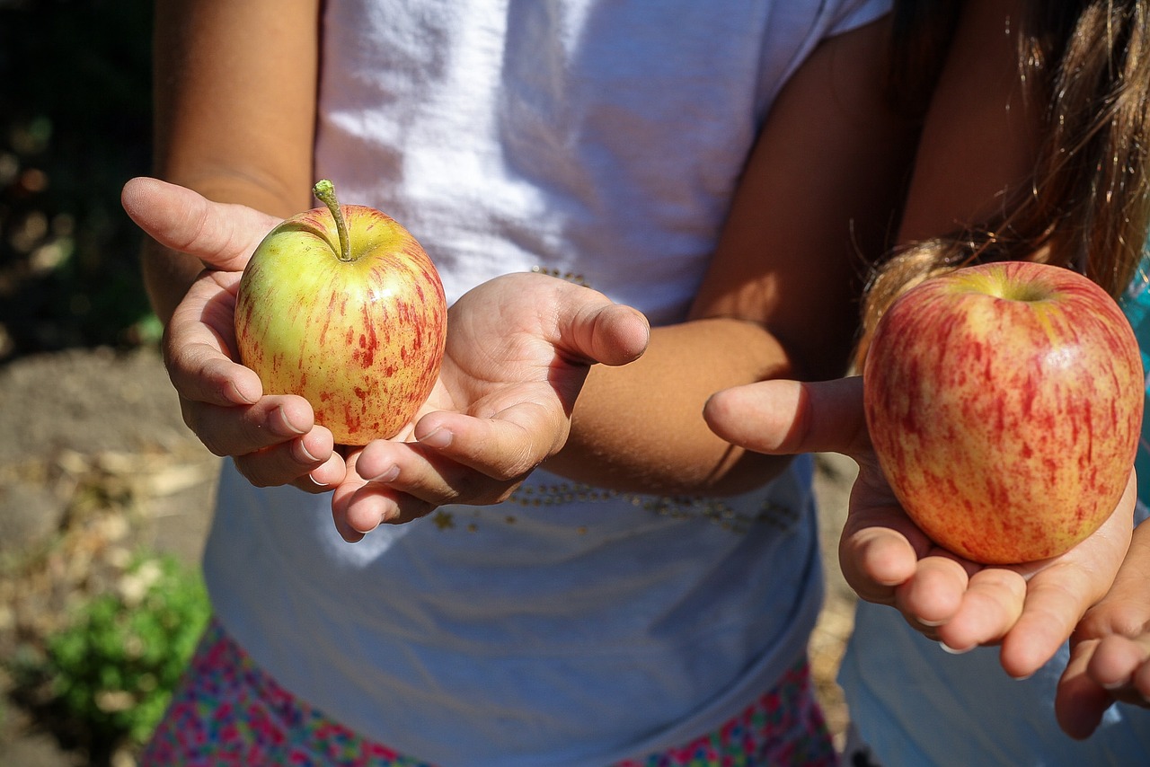 Crianças que comem mais frutas e vegetais têm melhor saúde mental, diz estudo