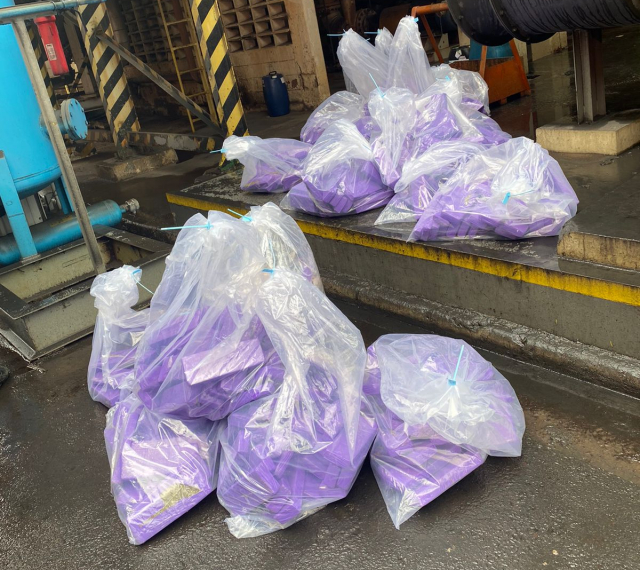 Polícia de Botucatu incinera mais de 470 quilos de drogas