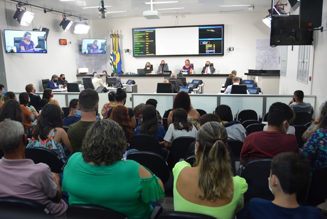 Câmara de Botucatu aprova alteração em Previdência dos servidores municipais e mês de combate aos maus tratos animais