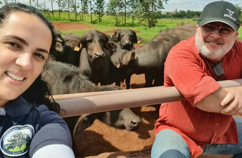 Pesquisadores da Unesp Botucatu elaboram referencial de bem-estar para búfalos