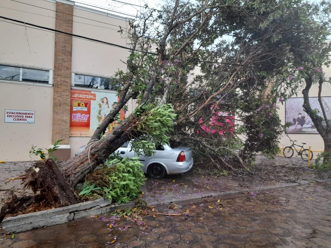 Chuva provoca danos e quedas de árvores em Itatinga