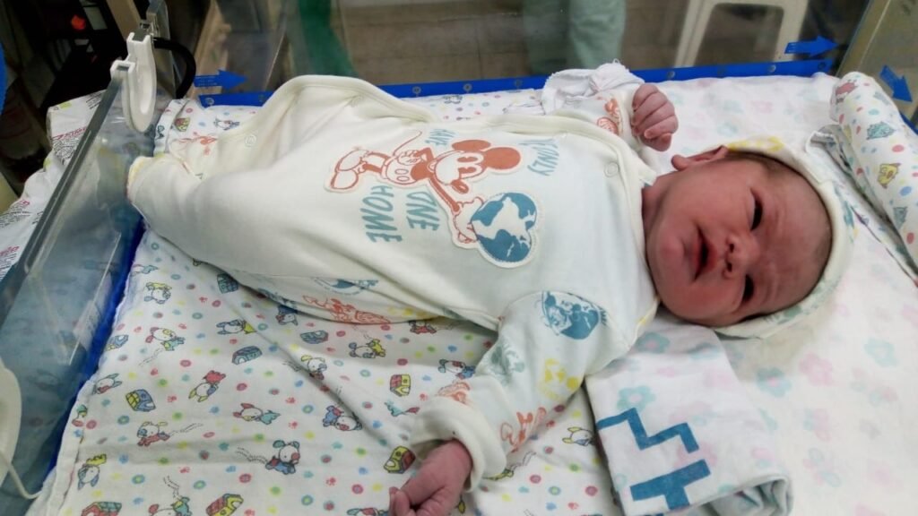 Noah chegou às 11 horas deste sábado (1°)