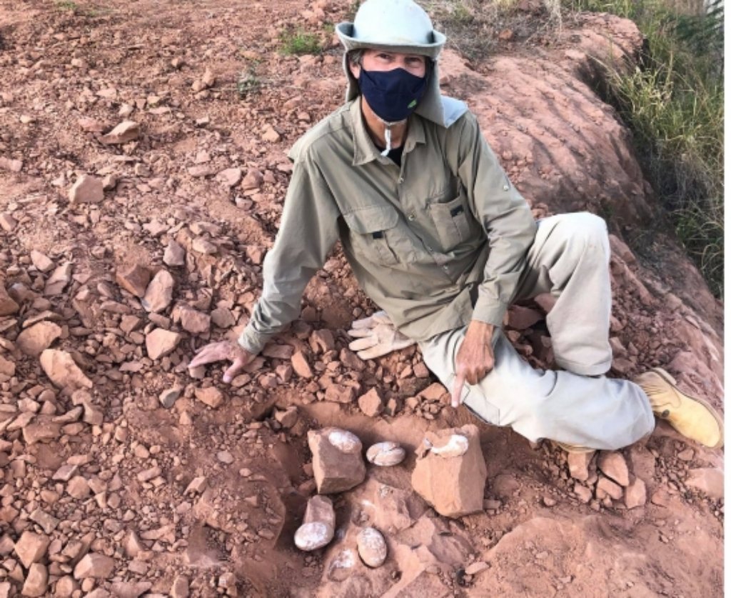 Ovos fossilizados de dinossauros são encontrados na região