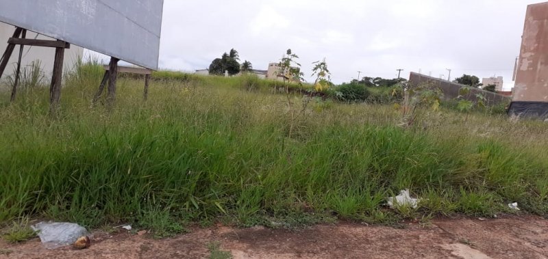 São Manuel: termina no dia 6 prazo para limpeza de terrenos